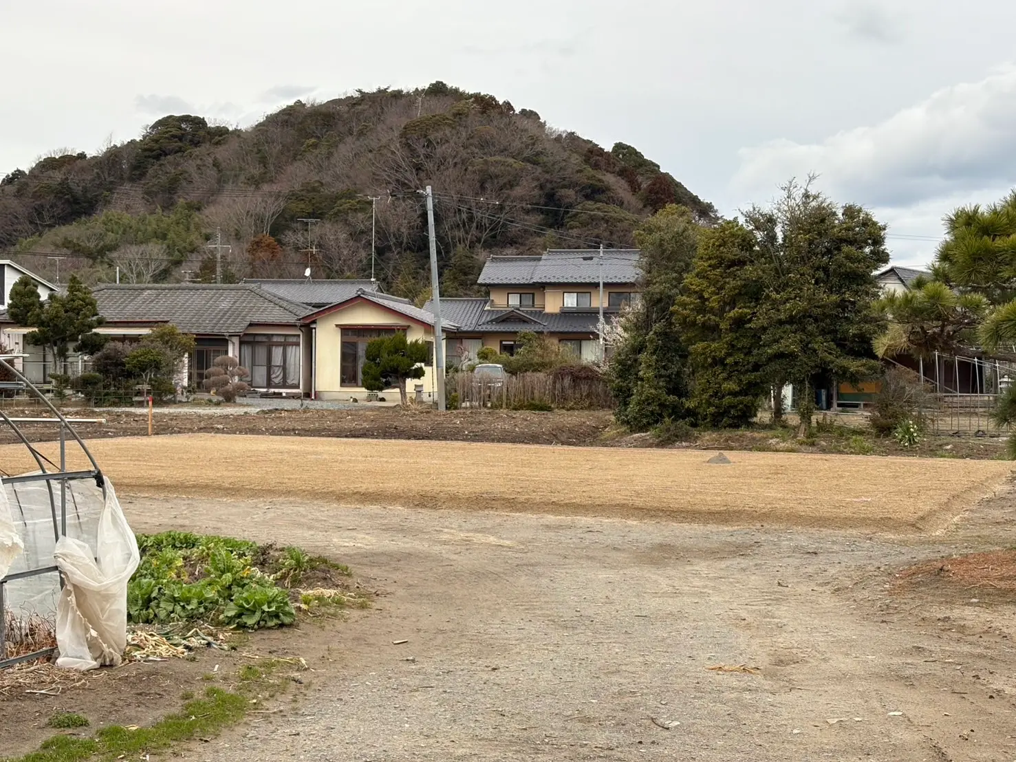 建物解体工事 アフター画像