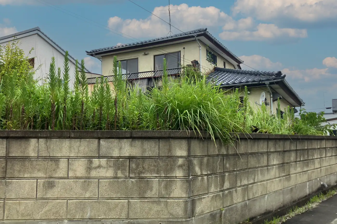 建物解体工事 ビフォー画像